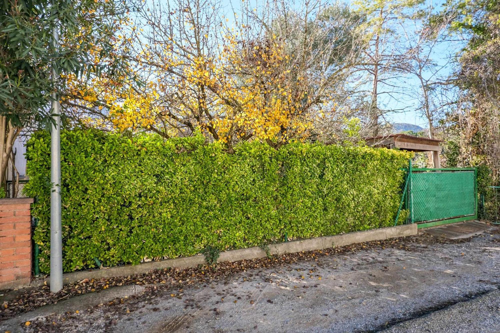 Can Camps Besalu Casa Planta Baja Con Jardin Bagian luar foto